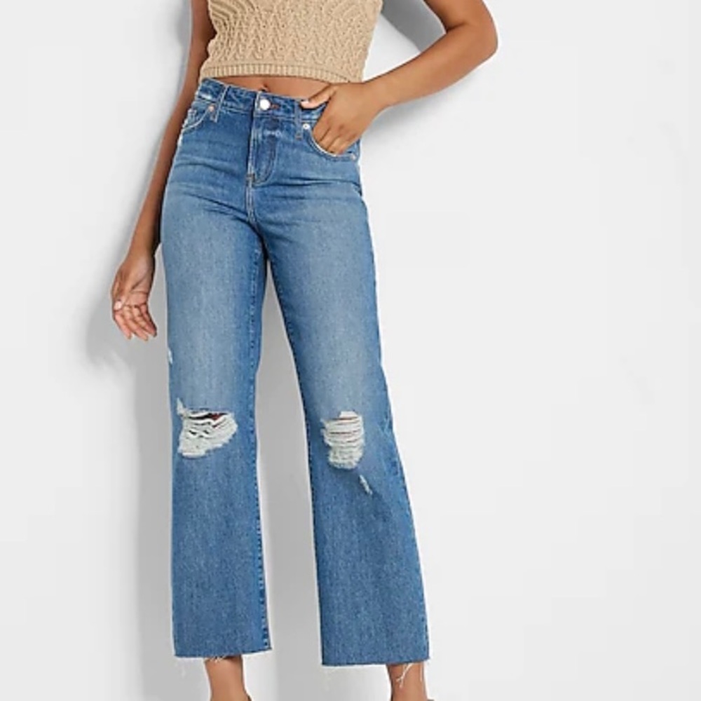 Express Mid-rise 90s Ankle Jeans